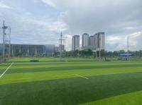 grama do futebol da falsificação de 55mm Diamond Shape Football Artificial Turf