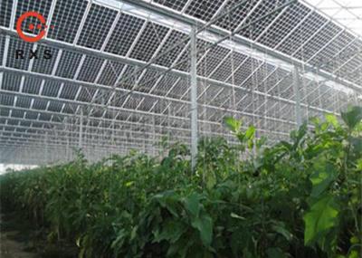 Pilhas dobro Monocrystalline industriais dos módulos 305W 60 do picovolt do vidro transparentes
