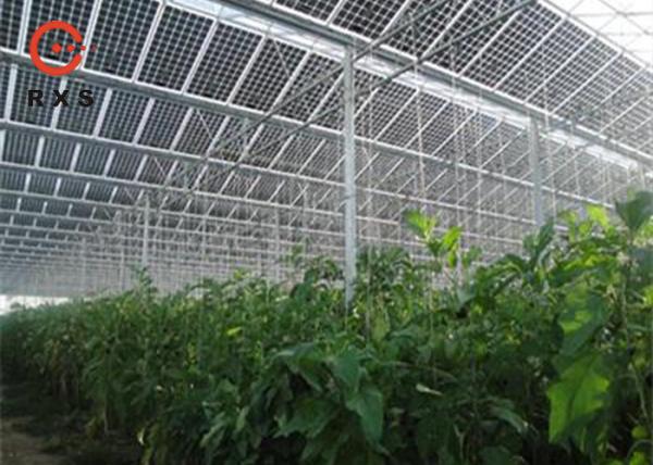 Pilhas dobro Monocrystalline industriais dos módulos 305W 60 do picovolt do vidro transparentes