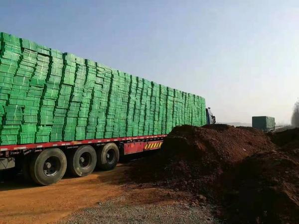 Grassy Plastic Parking Lot for High Pressure Resistance and Anti Pressure Lawn Grid
