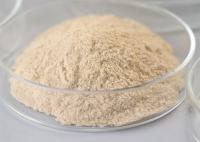 Estérification Transestérification Lipase en poudre Bioénergie Enzyme Plage de pH 2,5 à 11.5