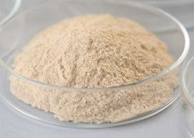 Esterificação Transesterificação Lipase Powder Bioenergy Enzyme PH Range 2,5-11.5
