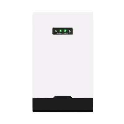 Wall Mounted Lithium Battery 220V 5kw 48v Solar Inverter Battery