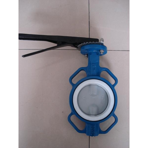 ISO & CE Certificate ANSI Class 125 / 150 Wafer Butterfly Valve Disc Coated Nylon