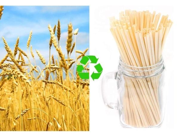 3-5mm Diameter Wheat Straws The Eco-Friendly Must-Have for Cafes and Coffee Shops