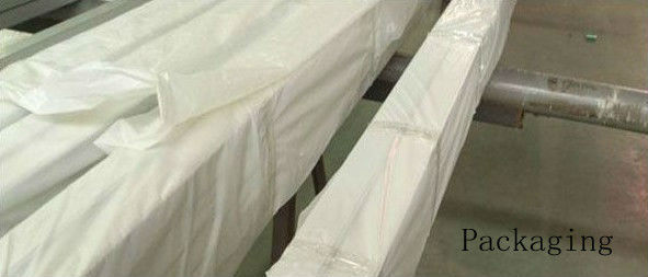 Aduana perfil industrial de la protuberancia de aluminio de la ranura de 6060 T con final de anodización