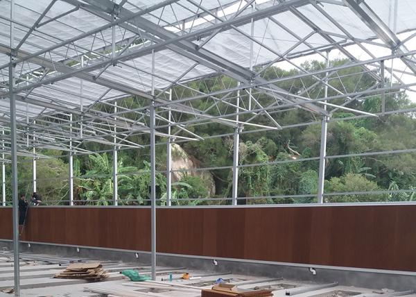 Energy Efficient Multi Functional PC Greenhouse With Seeding Bench - Suitable For Ornamental Plants In Any Climate