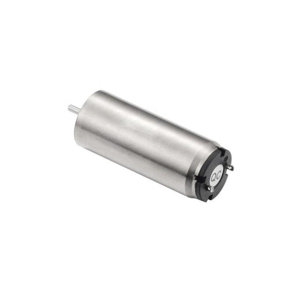 Faradyi Customized Coreless Brushless Dc Motor 12V Brushed 35Kg High Torque Coreless Motor 17Mm Ball Bearing With Wormgear
