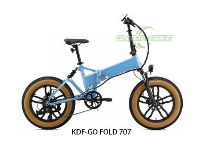 Bicicleta elétrica dobrável personalizada de 36 V, Bicicleta elétrica dobrável para passageiros