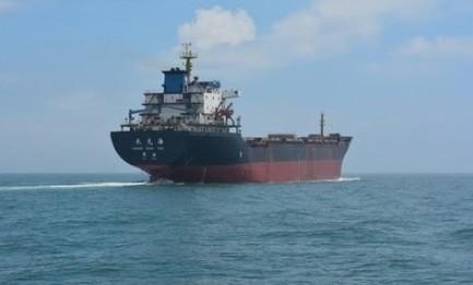 Professional China Sea Freight Services DDP Lcl Ocean Freight China to Dubai
