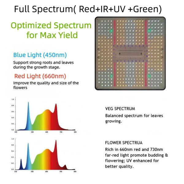 BAVAGREEN 130W Dimmable LED Grow Lamp Auto Time Full Spectrum Independent UV IR  LED Plant Light for Vegetables Flower