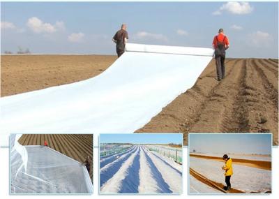 100% Polypropylene Spunbond Nonwoven Fabric