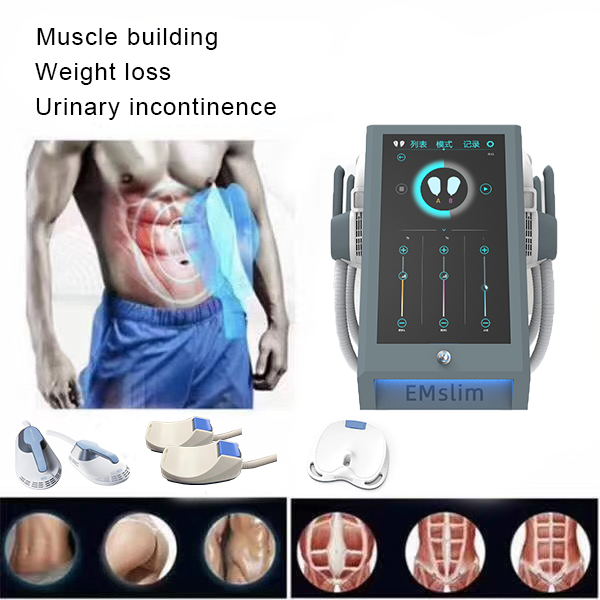 Портативная машина 100Hz скульптуры тела Hiemt Emslim с 4 ручками