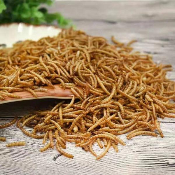 Mealworms Yee Fish Food Dried Mealworms 100%Pure Natural Bulk Nirds Fish Small Pet Food
