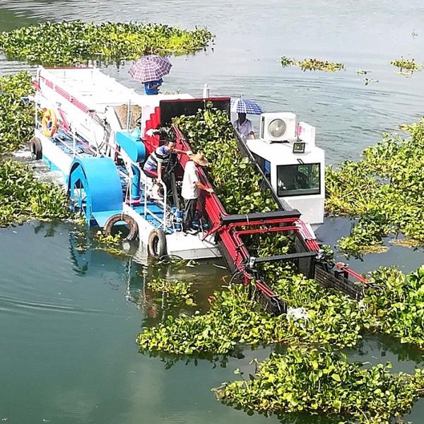 Enteromorpha Trash Skimmer Machines aqautic weed harvester reed water glass hyacinth cutting boat  work ship