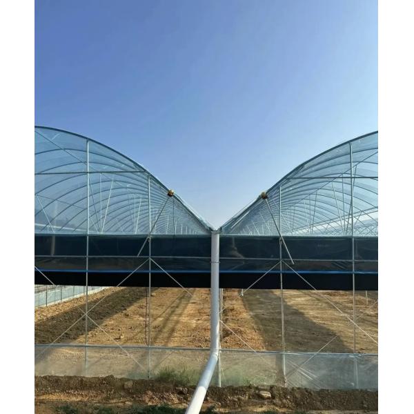 Multi-Span Film Greenhouse for Vertical Farming Package Size 50.00cm * 60.00cm * 50.00cm