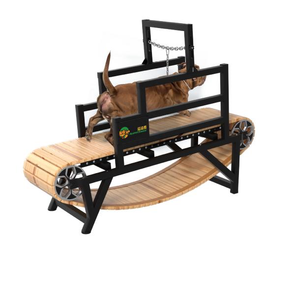 Other Pet Products Improve Your Dog's Health with Our Stocked Exercise Machine