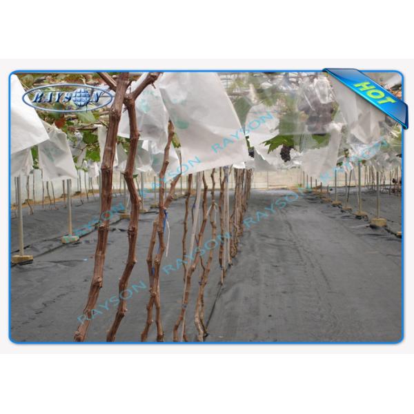 Крышка земледелия Degradable дружелюбного сверхмощного рулона ткани управлением засорителя черная не сплетенная