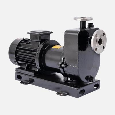 150 PSI Maximum Pressure Magnetic Sealless Centrifugal Pump With IP55 Motor Enclosure