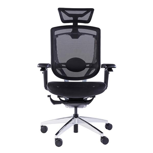 Gtchair Marrit Computer Desk Chair Adjustable High Back Ergonomic Office Chair