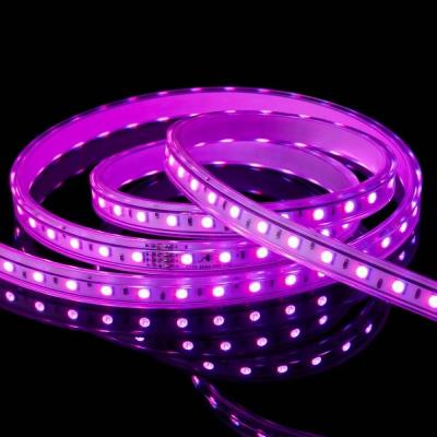 Luz de banda LED à prova d'água de cor única de alta tensão 50M em cinza para iluminação exterior