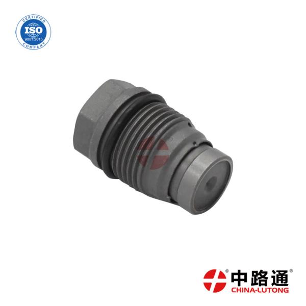 Common Rail Piezo Injector Control Valve Kit 1 110 010 024 for Buy  Pressure Relief Valve