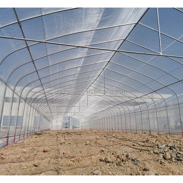 Agricultural Single-Span Tomato Greenhouse Frame PE Plastic Film for Plant Growth