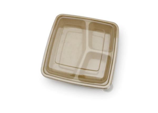 9 inch Outdoors Takeaway Food Containers Disposable Lunch Biodegradable Container