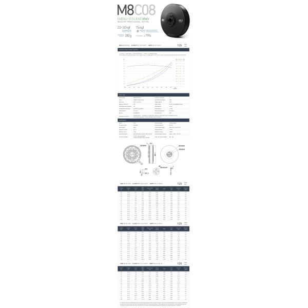 M8CO8 IPE V2 Brushless DC Motor for Industrial