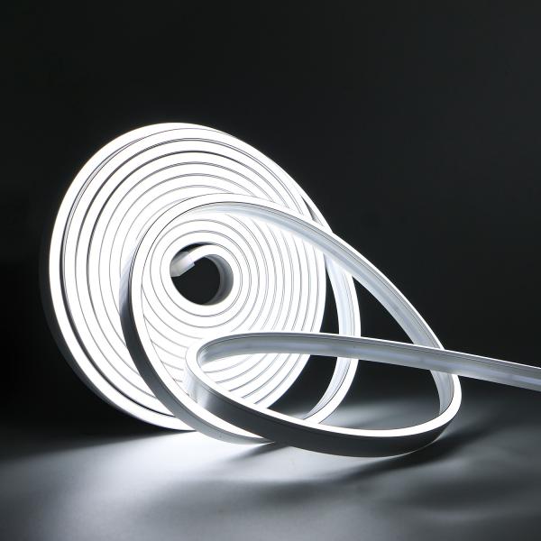 Luz de tira IP68 do diodo emissor de luz de Digitas RGB Flex Neon para o OEM exterior da decoração