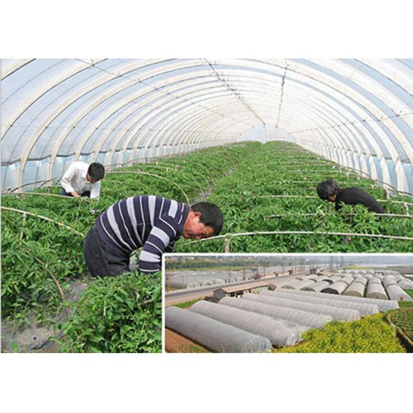 Tela no tejida de la cubierta de la agricultura de Spunbond, telas de los PP del paisaje para la casa verde