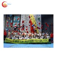 Enfants de sports d'intérieur montant le CE ROHS d'aventure de cours d'Inflatables Obatacle de mur