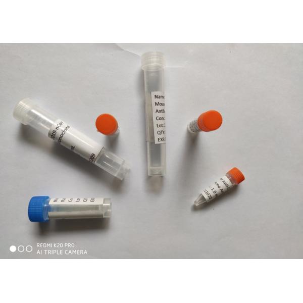 Рекомбинатная терапия моноклонального антитела мыши COVID-19 (Mab)