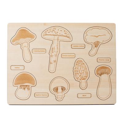 2 To 4 Years Mushroom Cognition Board Baby Developmental Exercises Hands On Ability