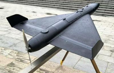ZAi-CLLM1100 8kg Loitering Drone 2h Endurance 180km/H Dive Strike AI GPS Foldable