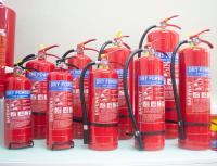 Sistema de supressão seco portátil do fogo do extintor do pó de ABC ST12