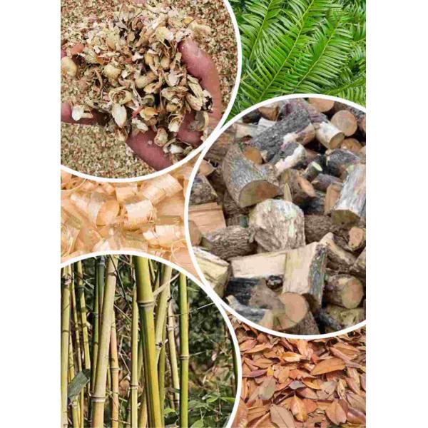 машинное оборудование мельницы лепешки биомассы 400-600kg/H личное деревянное для того чтобы сделать деревянные лепешки