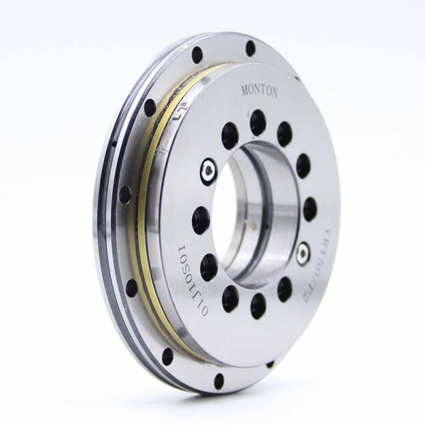 YRTS395 395*525*65mm Rotary Table Bearing
