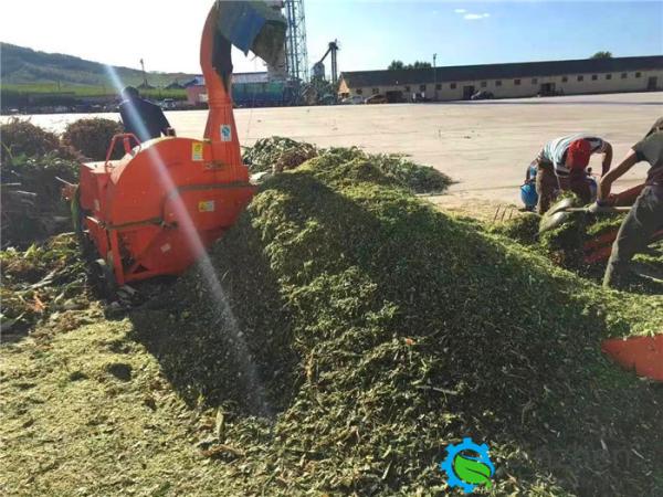 Household Grass Crusher Chaff Straw Hay Cutter Machine For Cotton Straw Soybean Wheat Corncob Sugarcane