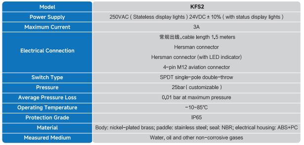 KFS2 Series Flow switch
