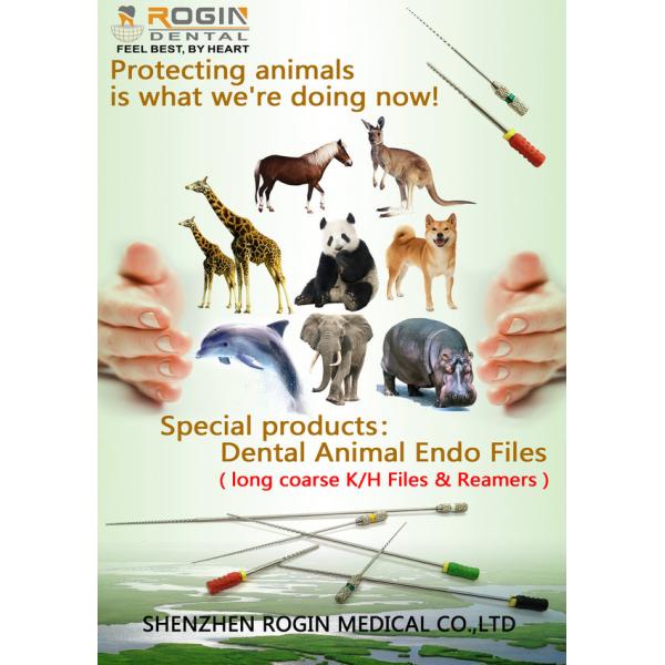 Rogin Dental Veterinary Endodontic Files of Dentistry Treatment for animals