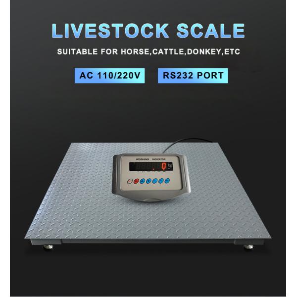 High Precision 500g Floor Scale for Industrial Animal Weighing in Livestock Industry