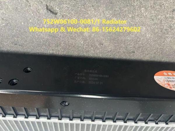 Radiator Assembly 752W06100-0081/1 HOWO Truck Parts Engine Radiator Coolant Radiator