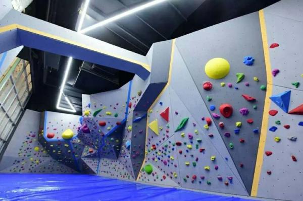 Max Capacity 100-500kg Bouldering Rock Climbing Walls Durable and Versatile for Adults