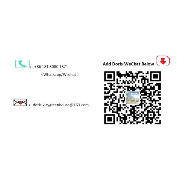 Agricultural 100% Blackout System Greenhouse With PE Film Cover