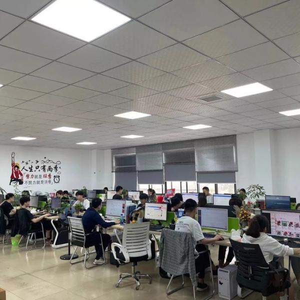 Женская ручная кружевная блузка Элегантный вечный стиль Лаймовый креп Большой плечевой подкладки Длинный рукав Боди