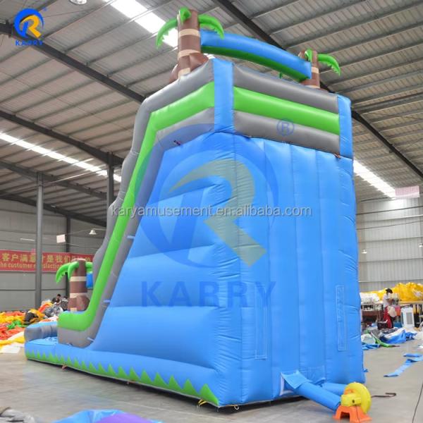 Customized Inflatable Pool Slides for Outdoor Large Party Rental CE/ROSE Certified