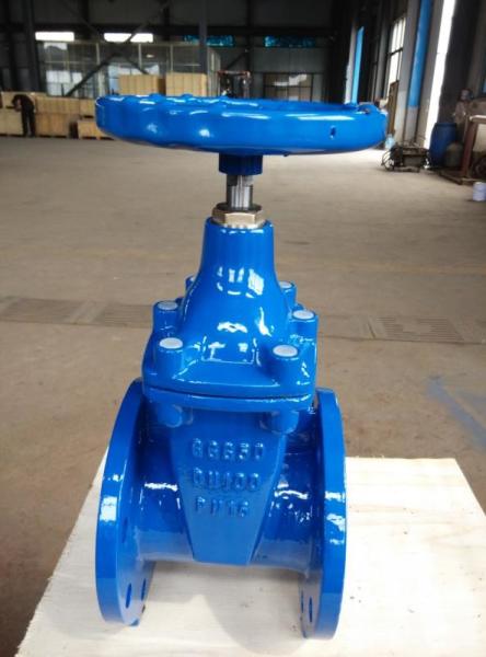 Din Pn10 Pn16 Ductile Cast Iron Ggg50 Hand Wheel Resilient Seated Flanged Water Seal Gate Valve
