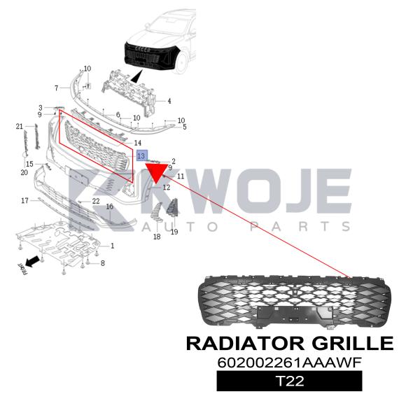 EXEED T22 Radiator Grille 602002261AAAWF OEM Replacement