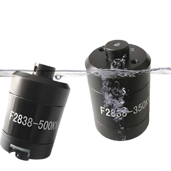 Faradyi Customized F2838 11.1V-14V 350KV BLDC Waterproof Tubular Underwater Motor With Propeller For Boat Surfboard/Jet Ski